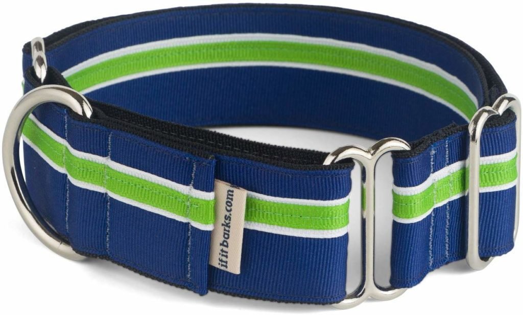 1.5" Martingale Collar for Dogs From If It Barks