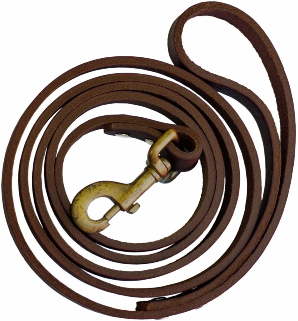 Premium Heavy Duty Leather Dog Leash from Timber and Tide Outdoor Co