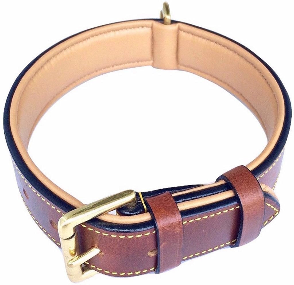 Real Leather Padded Dog Collar From Soft Touch Collars