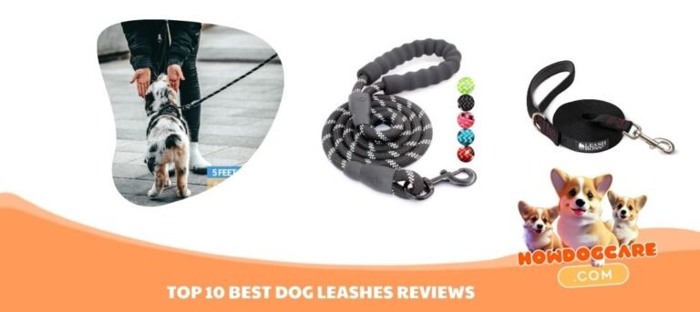 TOP 10 BEST DOG LEASHES REVIEWS