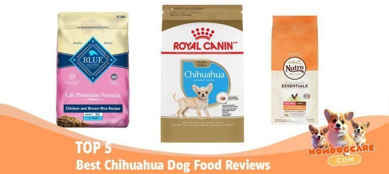 TOP 5 Best Chihuahua Dog Food Reviews