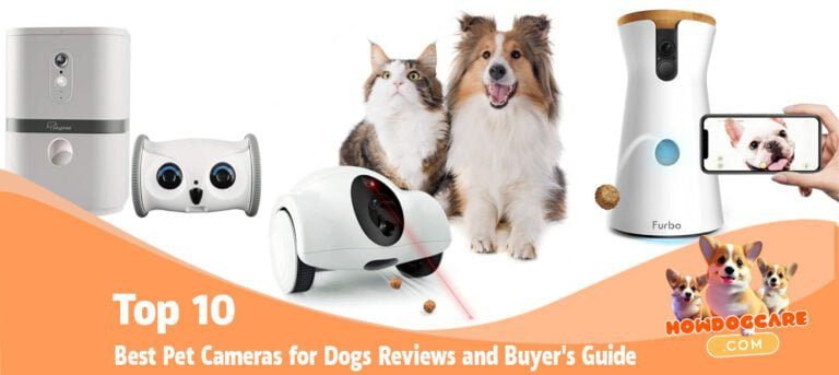 Best Pet Cameras for Dogs Reviews and Buyer's Guide Top 10