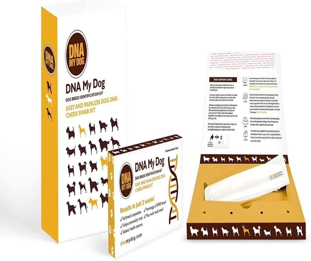 Dna My Dog Genetic Testing Kit for Puppies to Adult Dogs, Non-Invasive Cheek Swab