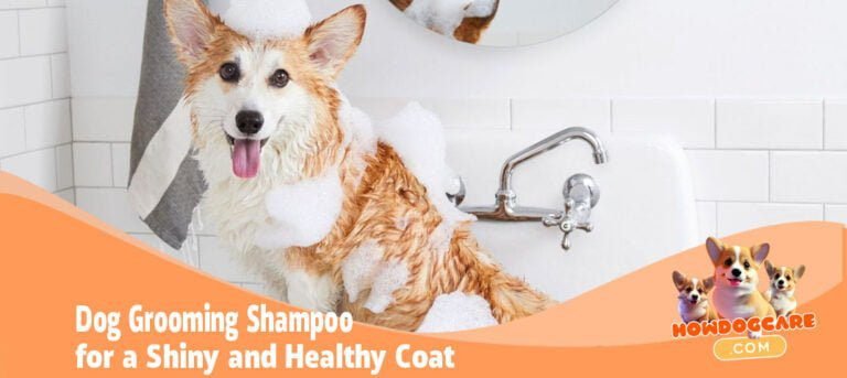 Dog Grooming Shampoo for a Shiny and Healthy Coat