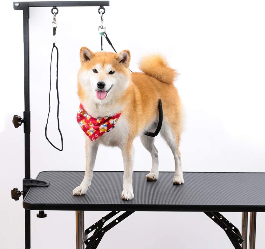 Guide to Choosing the Best Dog Grooming Harness