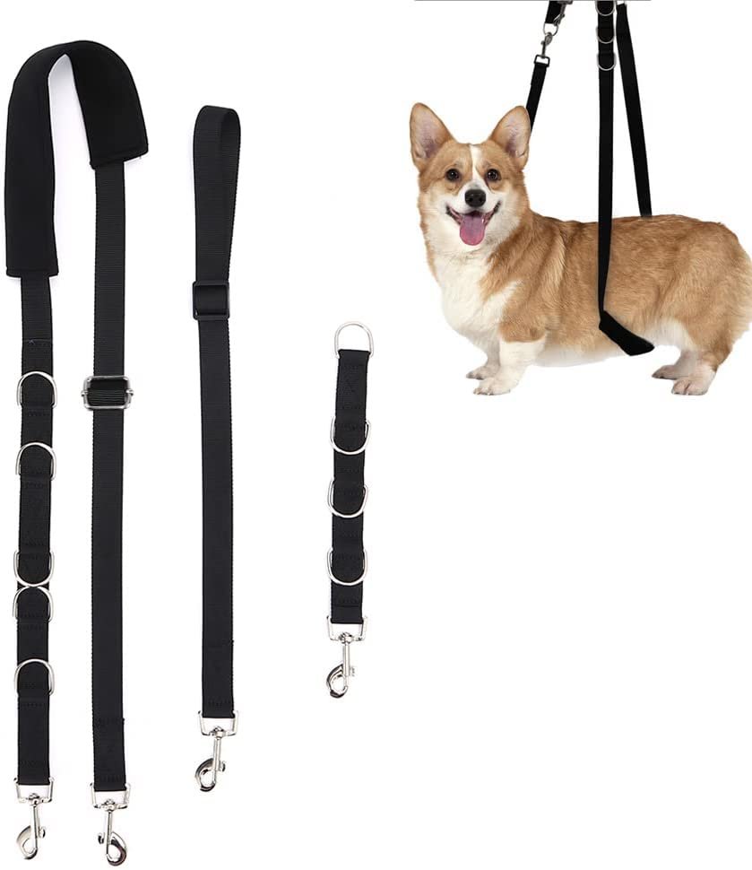 Guide-to-Choosing-the-Best-Dog-Grooming-Harness-2