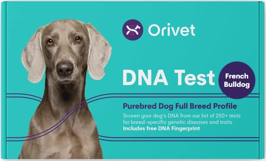 ORIVET Dog DNA Test Kit - French Bulldog Full Breed Profile, Puppy Testing Against 250 Medical Health Risks & Traits