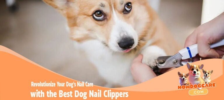 Revolutionize Your Dog's Nail Care with the Best Dog Nail Clippers