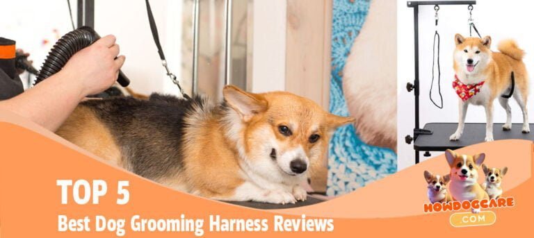 TOP 5 Best Dog Grooming Harness Reviews