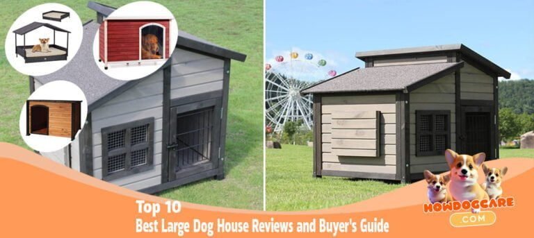 Top 10 Best Large Dog House Reviews and Buyer's Guide