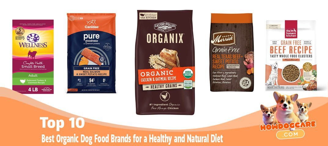 Top 10 Best Organic Dog Food Brands for a Healthy & Natural Diet - How ...