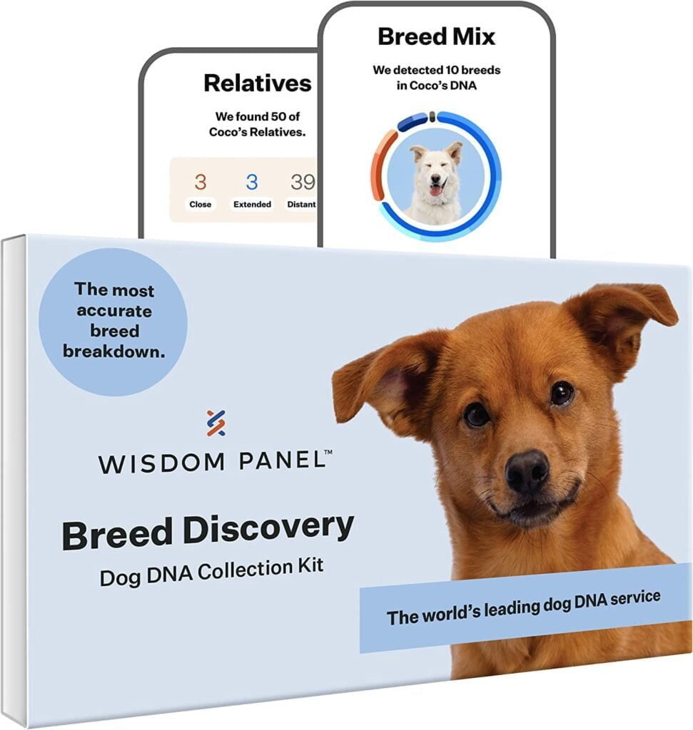 Wisdom Panel Breed Discovery 3.0: Dog DNA Test Kit for Most Accurate Breed ID