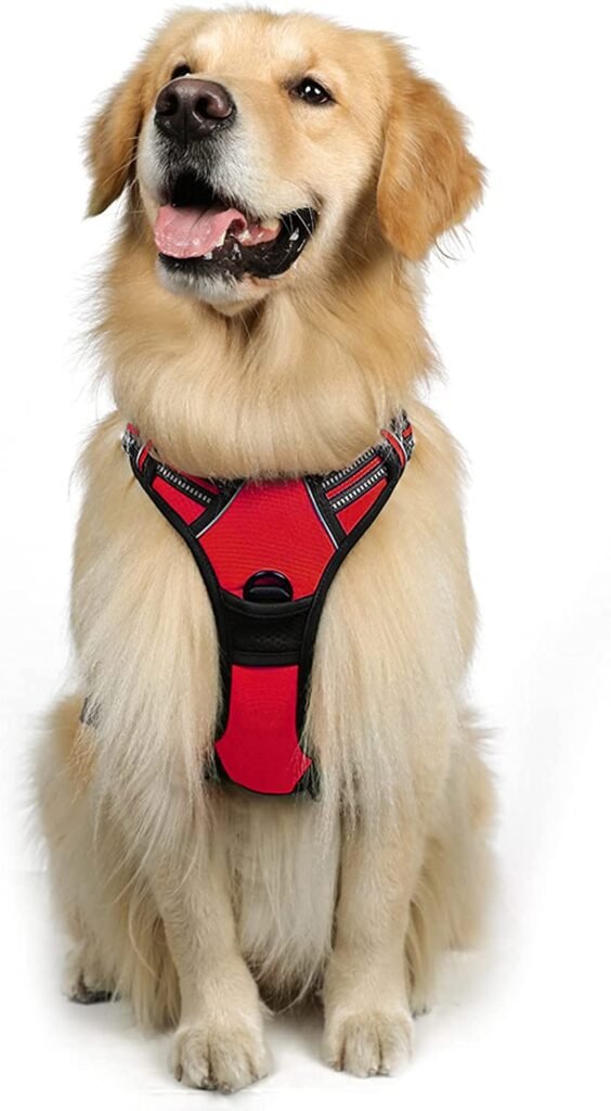 rabbitgoo Dog Harness, No-Pull Pet Harness with 2 Leash Clips for Large Dogs, Red, L