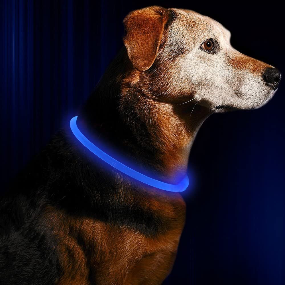 BSEEN LED Dog Collar - A Rechargeable and Stylish Flashing Collar for Nighttime Safety