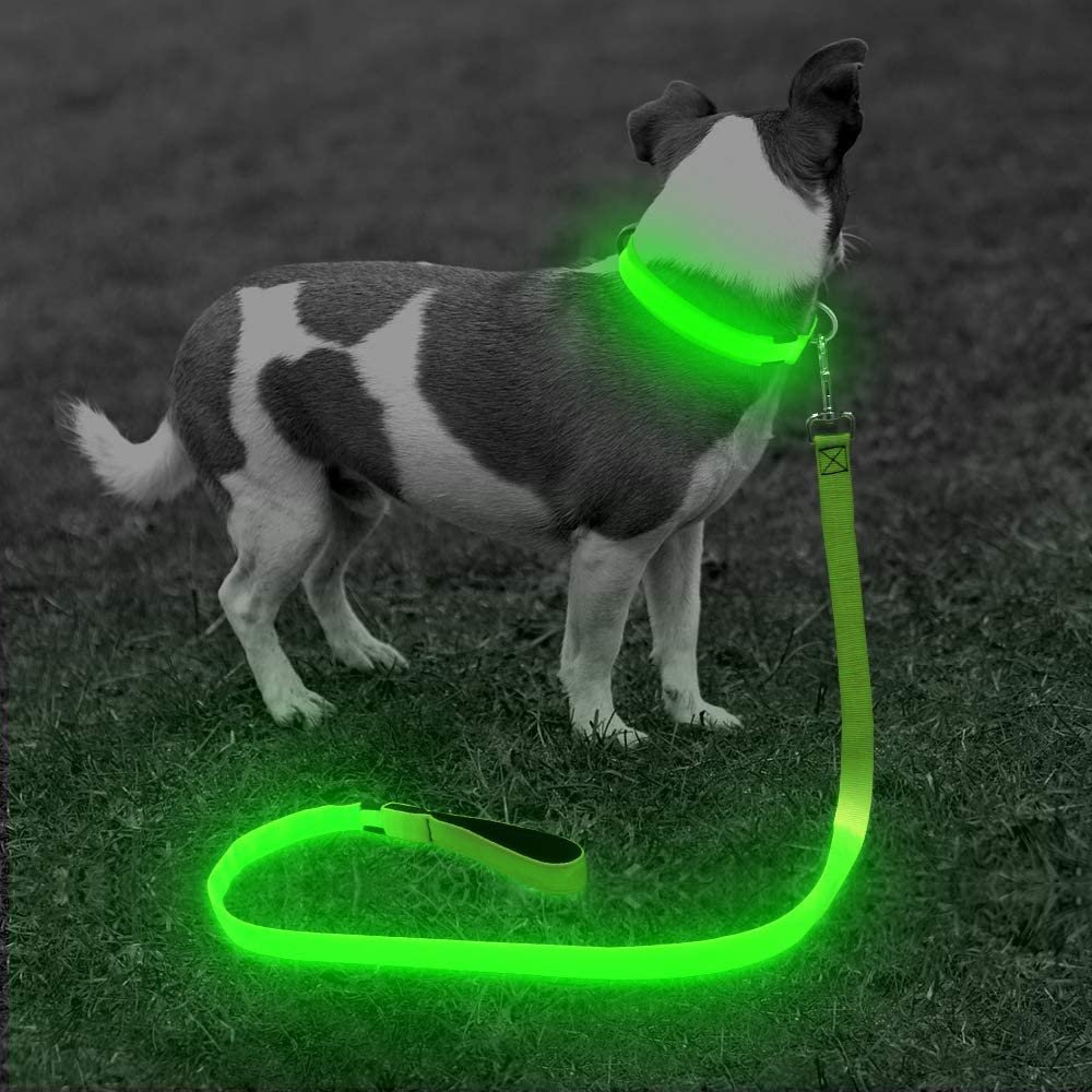 BSEEN LED Lighted Dog Leash - USB Rechargeable Nylon Puppy Lead