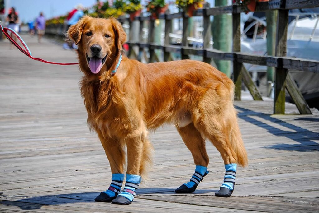 Bark Brite Lightweight Neoprene Paw Protector Dog Boots Designed for Comfort and Breathability