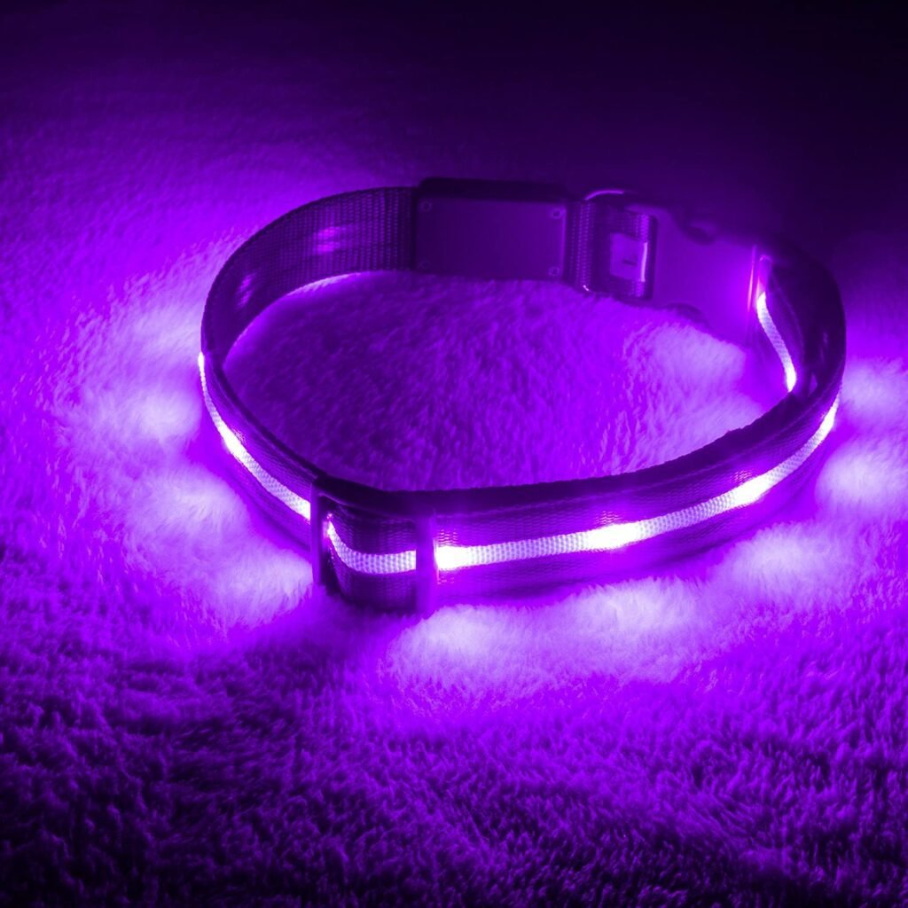 Blazin LED Light Up Dog Collar - 1,000 Feet of Visibility - Brightest for Night Safety