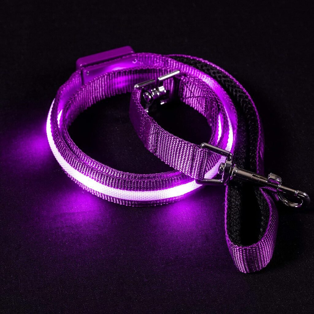 Blazin' Safety LED Dog Leash - USB Rechargeable Flashing Light