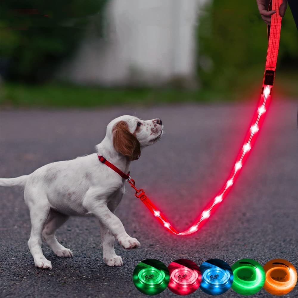 Candofly Reflective LED Dog Leash - Glow in The Dark Dog Leash Lighted Dog Lead