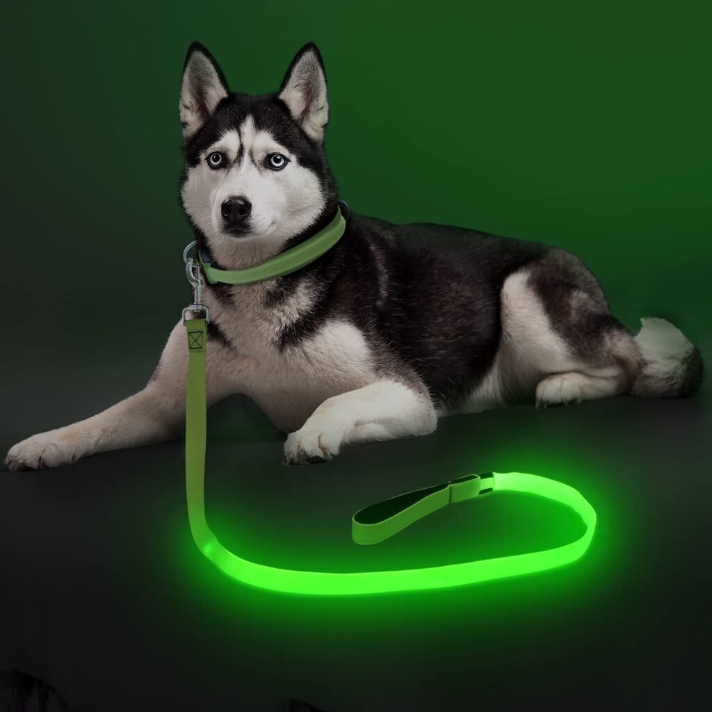 Colaseeme LED Dog Leash Light Up Dog Leash 4 Feet Micro USB Rechargeable