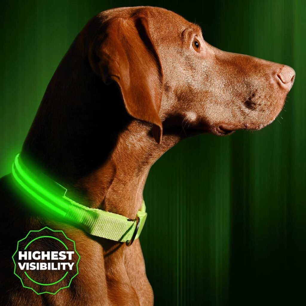 ILLUMISEEN LED Light Up Dog Collar - Bright & High Visibility Lighted Glow Collar for Pet Night Walking