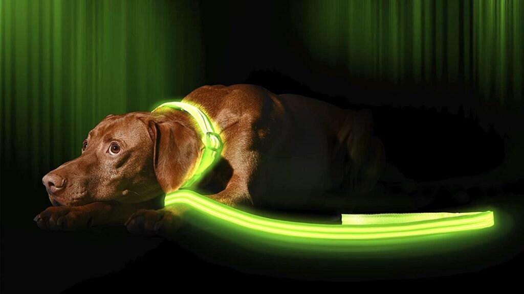 ILLUMISEEN LED Light Up Dog Leash | Maximize Visibility, Rechargeable, Tangle-Free Design