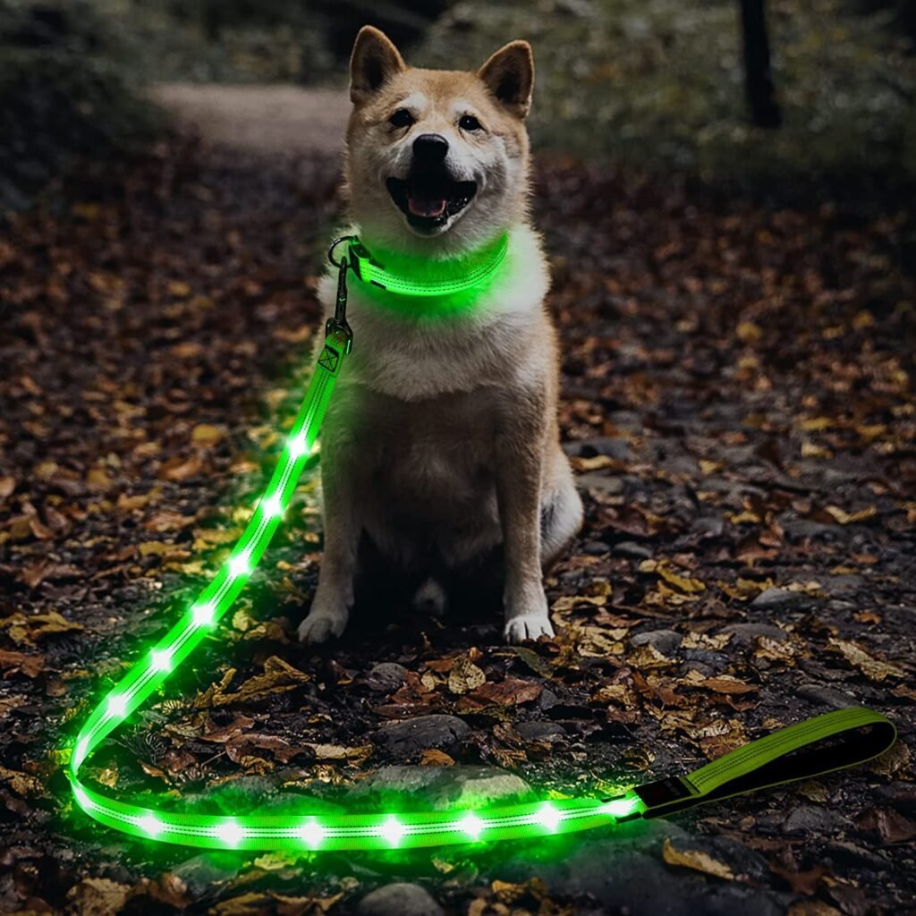 Illumifun Light Up Dog Leash - USB Rechargeable Glowing LED Dog Leash