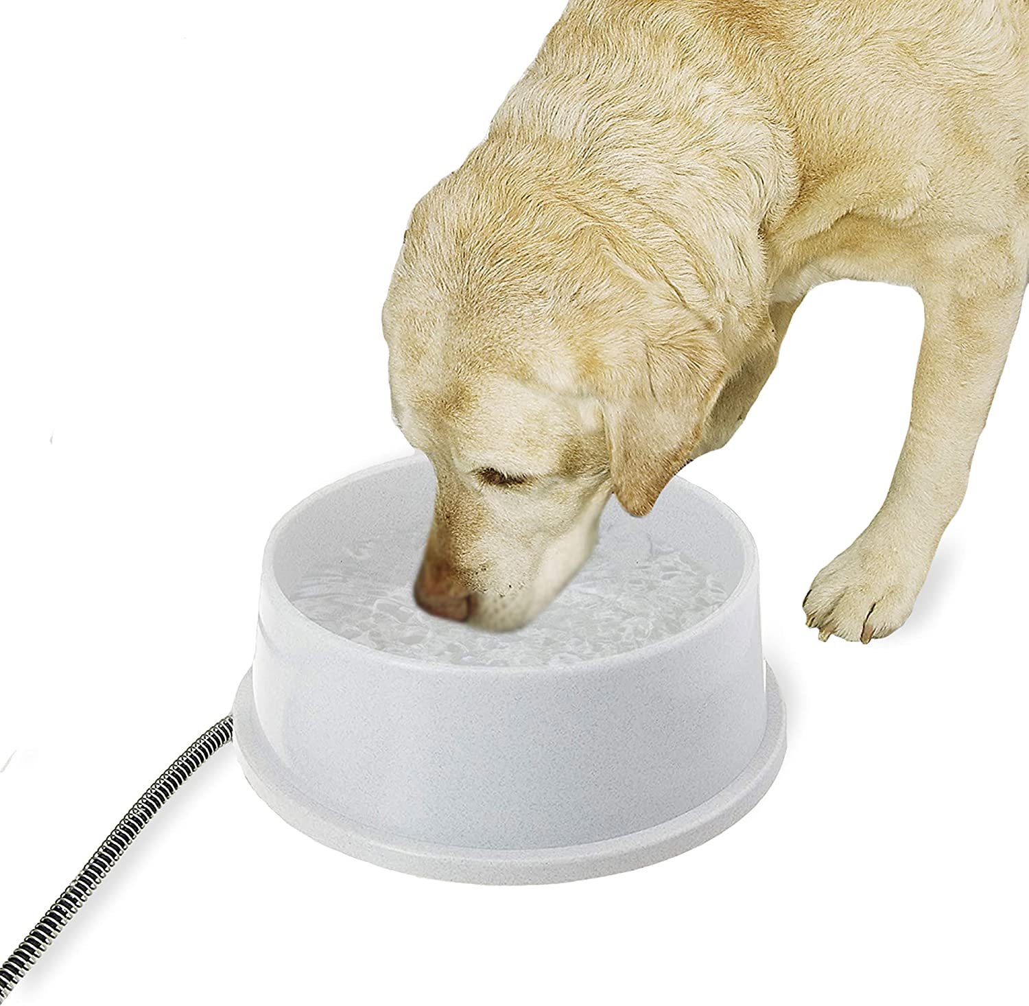 Top 10 Best Water Bowl for Dog Reviews How Dog Care