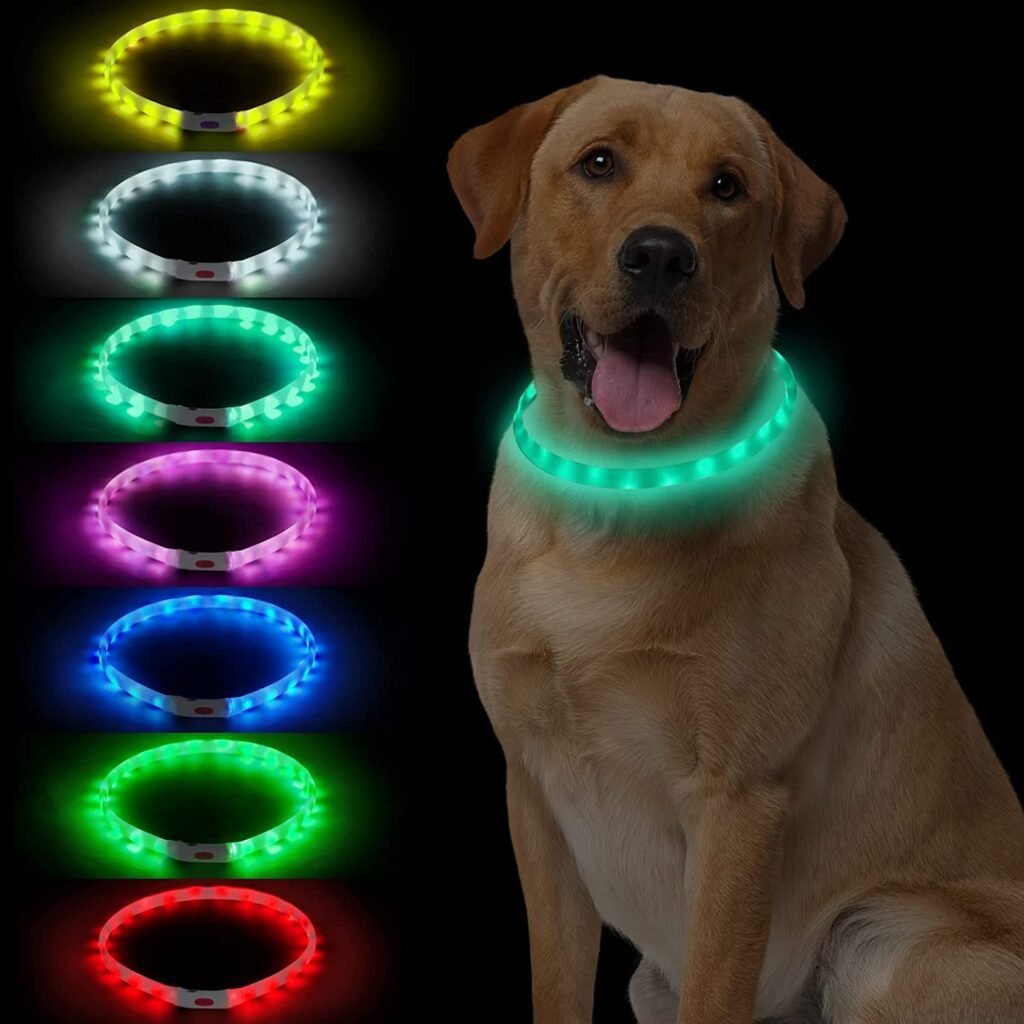 LED Multi-Color Dog Collar by NOVKIN - A Vibrant and Rechargeable Flashing Collar for Nighttime Visibility and Safety