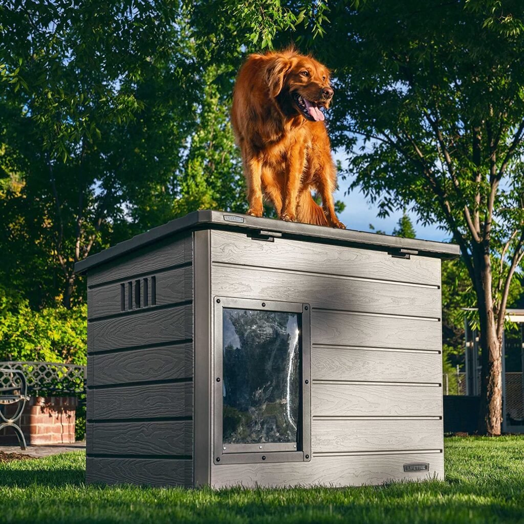 Lifetime Deluxe Dog House: A Weather-Protected Shelter for Medium to Large Dogs in Winter