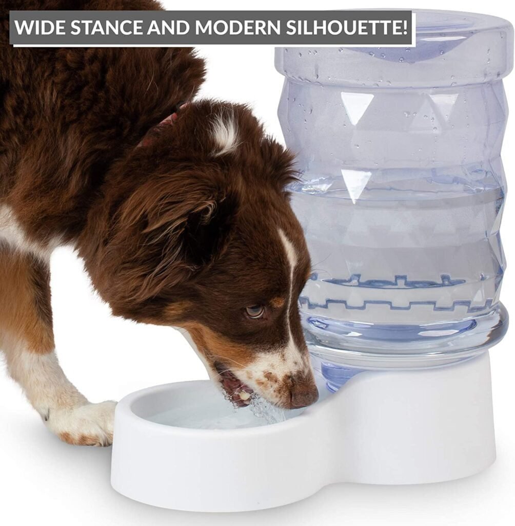 PetFusion H2O Gravity Pet Water Dispenser - Reliable Water Station for Cats and Dogs