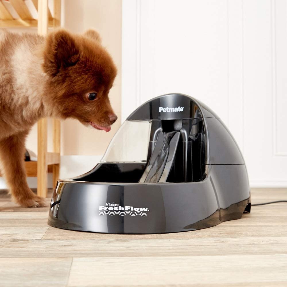 Petmate Deluxe Fresh Flow Dog and Cat Water Fountain - A Versatile Option for Best Dog Water Fountain