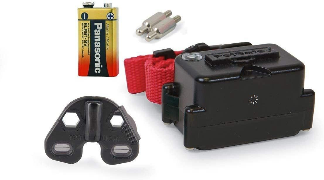 10 Best Underground Dog Fences for Secure Containment How Dog Care