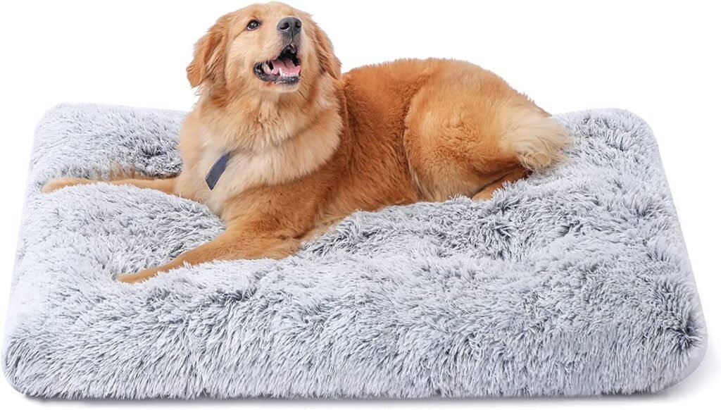 Sycoodeal Dog Bed - Plush Comfort and Washable Convenience for Medium & Large Dogs
