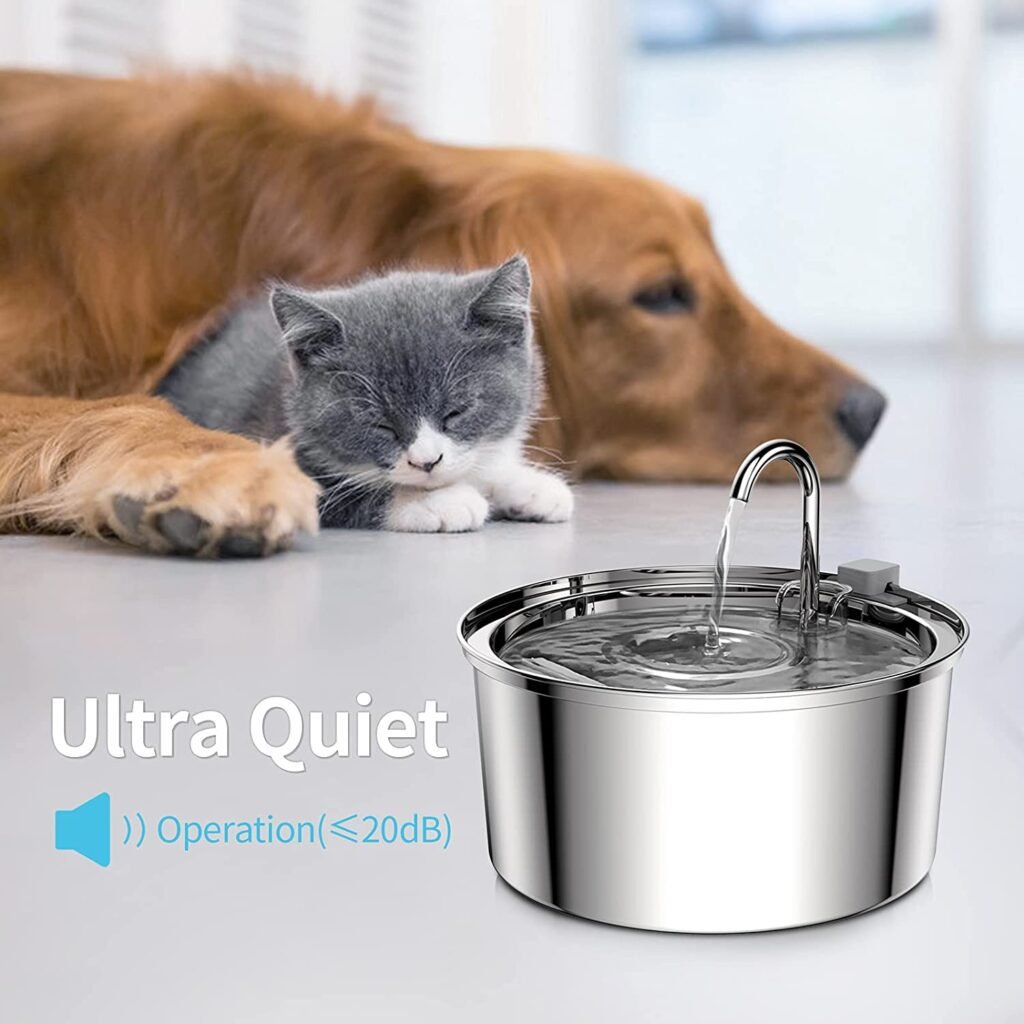 Tomxcute Cat Water Fountain Review: A Spacious and Quiet Dog Water Fountain for Large Dogs