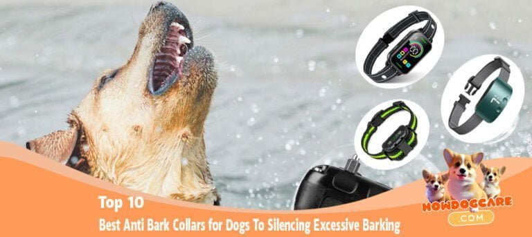 Top 10 Best Anti Bark Collars for Dogs To Silencing Excessive Barking