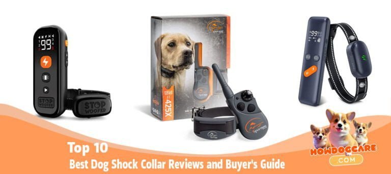 Top 10 Best Dog Shock Collar Reviews and Buyer's Guide