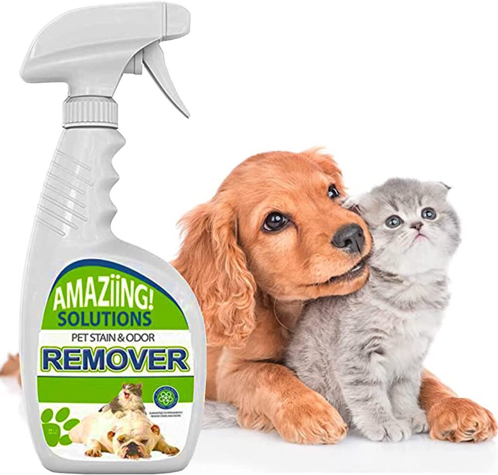 Amaziing Solutions Pet Stain and Odor Remover Review: The Best Pet Odor Eliminator for Fresh and Clean Spaces