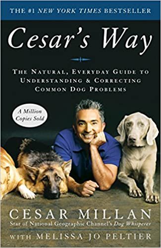 Cesar's Way: Unlocking the Secrets to Understanding and Correcting Common Dog Problems with Cesar Millan's Natural Approach