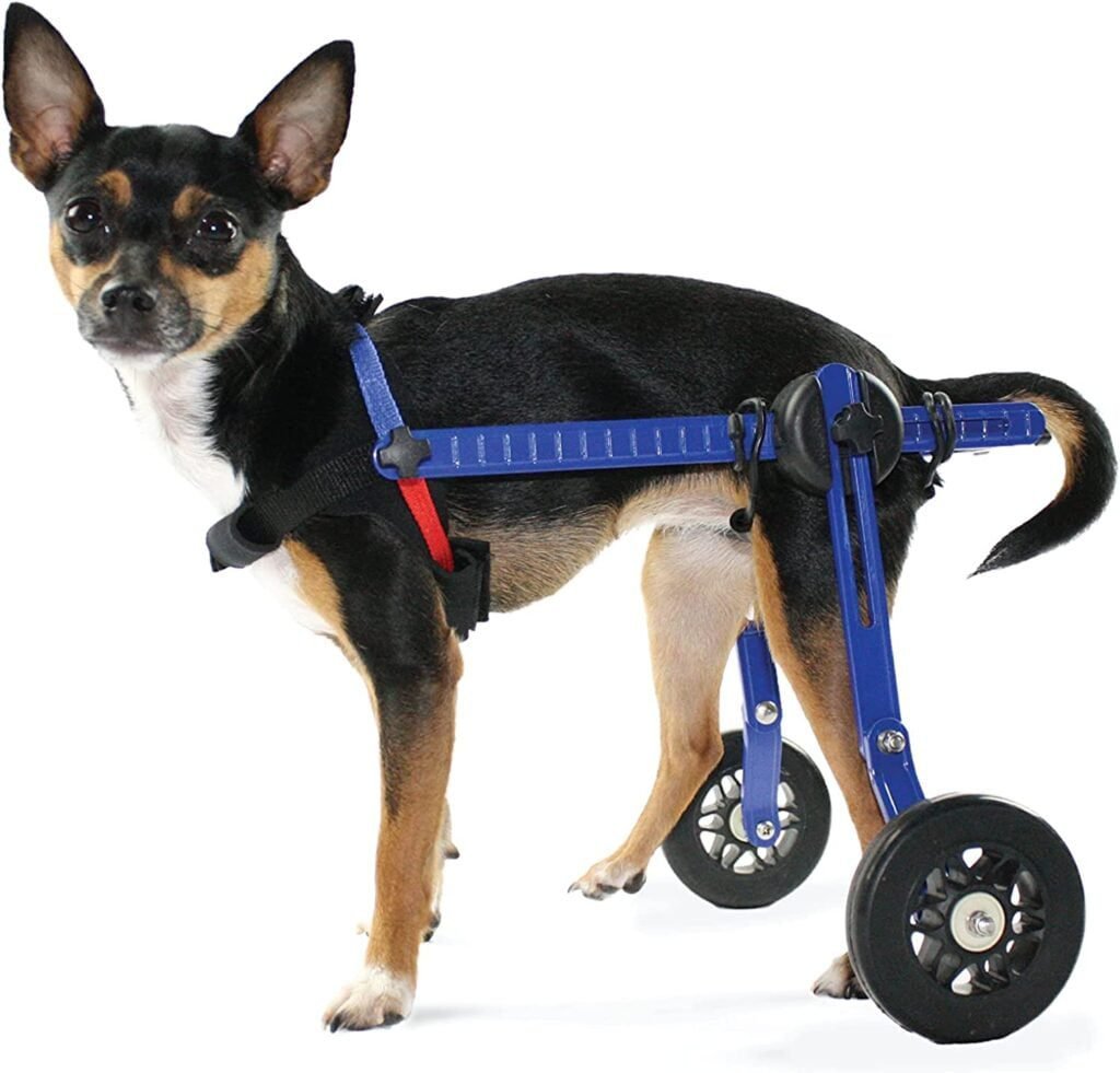 Dog Wheelchair - XS for Mini/Toy Breeds - A Veterinarian Approved Mobility Solution for Small Dogs