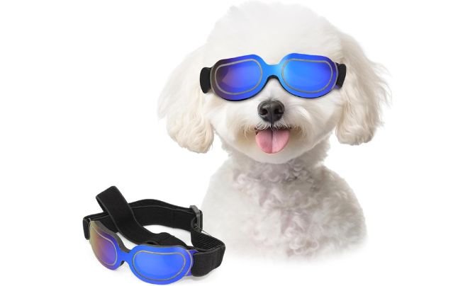 ENJOYING Dog Goggles – Small Breed (Cool Blue)
