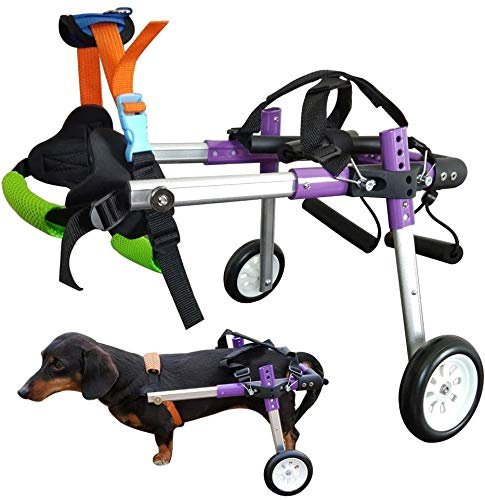 HiHydro Dog Stand Wheelchair - Lightweight and Adjustable Solution for Small Dogs with Back Leg Challenges