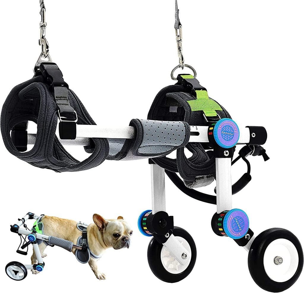 HobeyHove Adjustable Dog Wheelchair - Regain Mobility for Small Dogs with Paralyzed Hind Legs