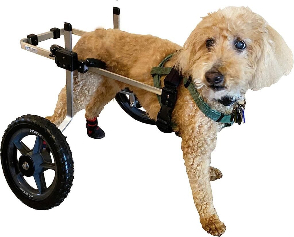 K9 Carts Dog Wheelchair (Medium) - The Best Made in the USA Wheelchair for Dogs with Back Legs