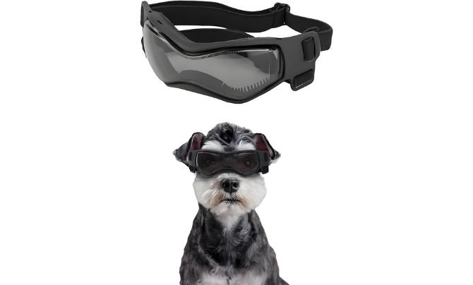 Kagoty Small Dog Goggles – Black