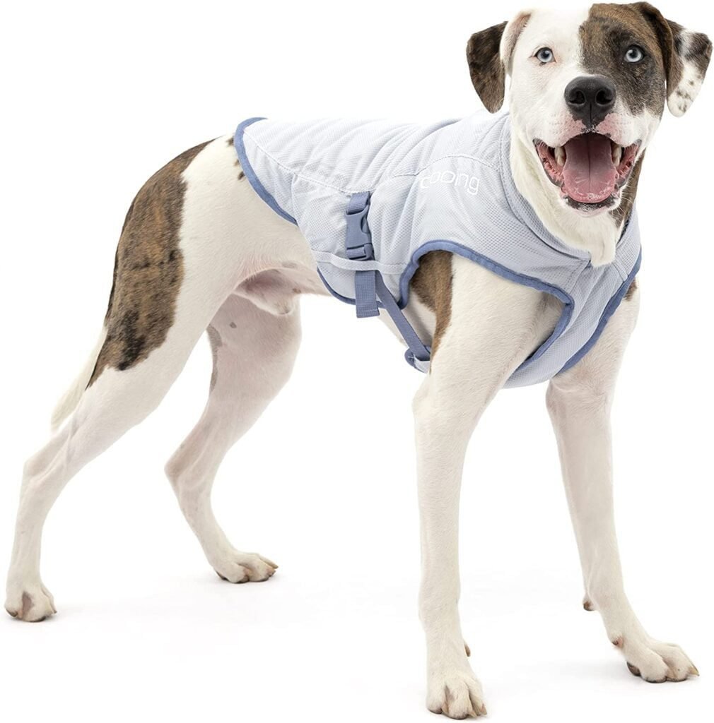 Keep Your Pup Cool: Kurgo Core Cooling Vest for Canine Comfort and Safety