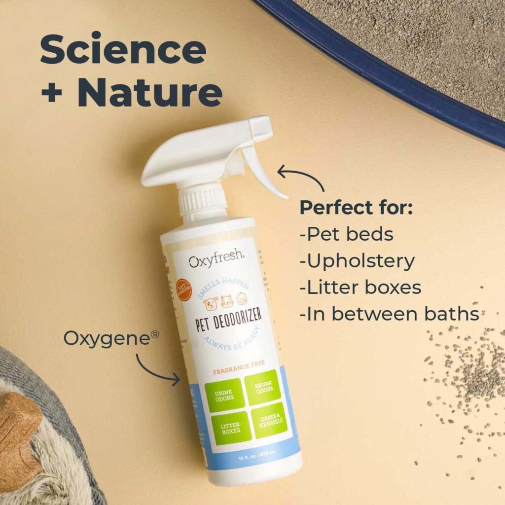 Non-Toxic and Pet-Friendly: Why Oxyfresh is the Perfect Choice