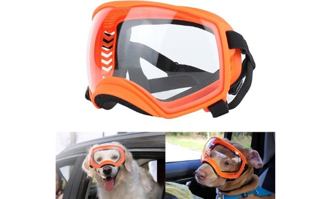 PETLESO Dog Goggles – Large Breed (Orange)