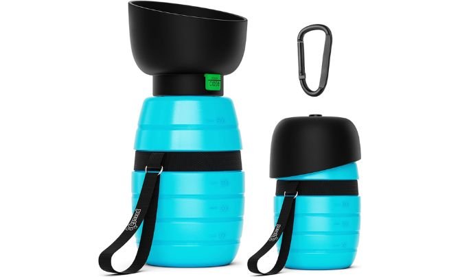 Pecute Portable Dog Water Bottle Review