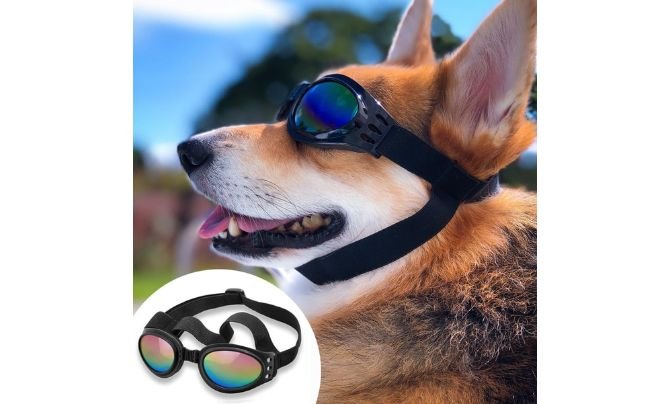 QUMY Dog Sunglasses – Medium/Large (Black)